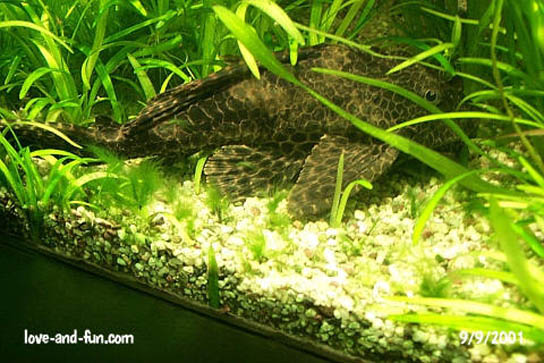 Vivarium Karlsruhe